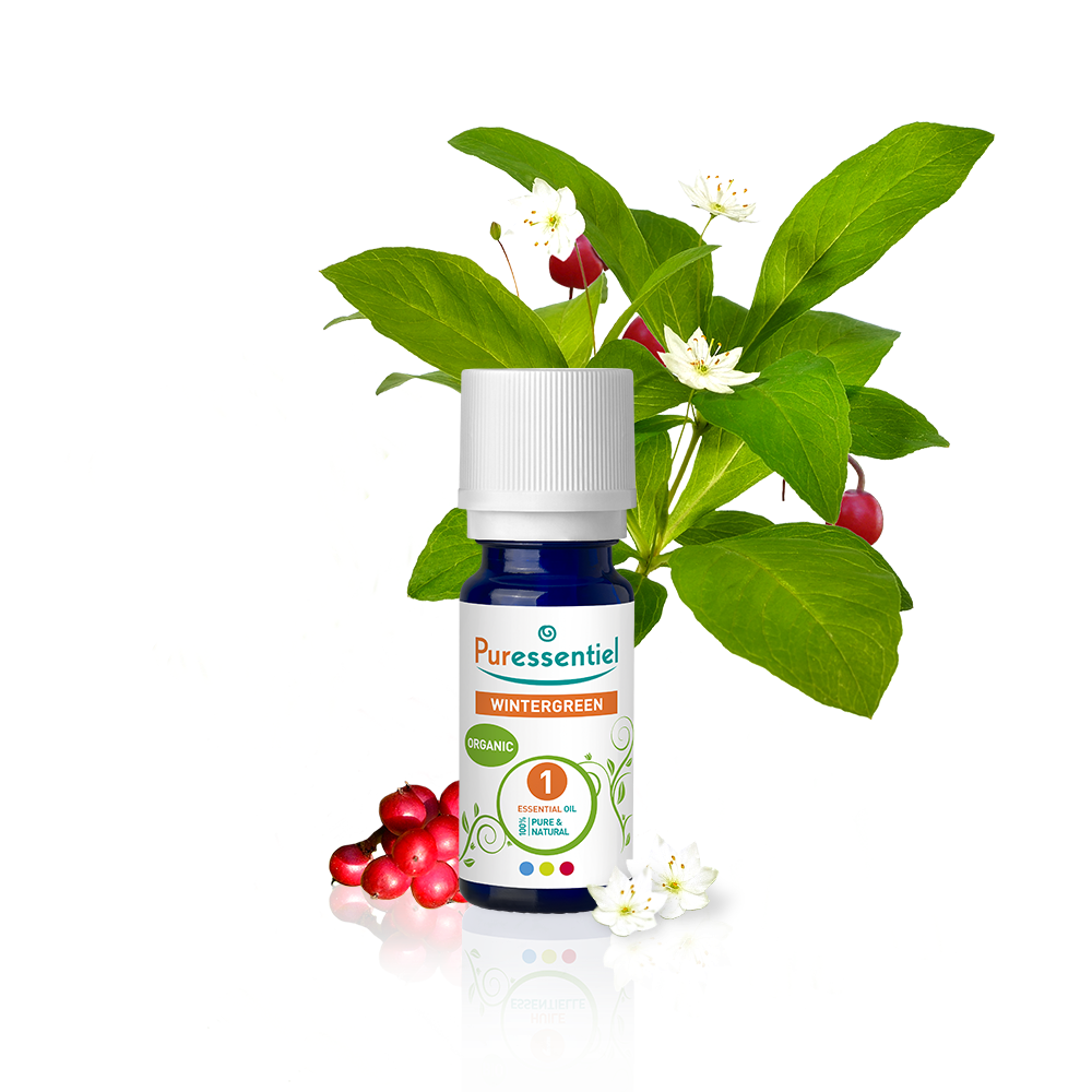 Wintergreen Organic Essential Oil