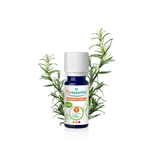 Rosemary Cineole Organic Essential Oil