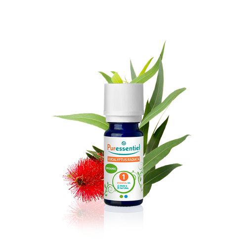 Eucalyptus Radiata Organic Essential Oil