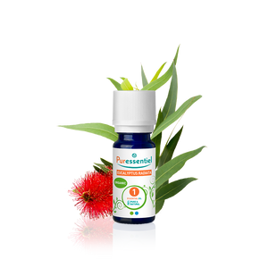 Eucalyptus Radiata Organic Essential Oil