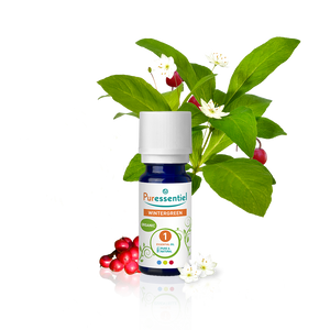 Wintergreen Organic Essential Oil