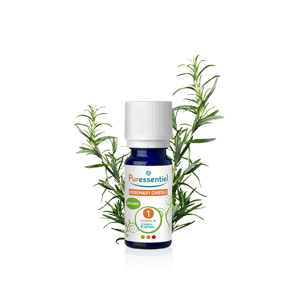 Rosemary Cineole Organic Essential Oil